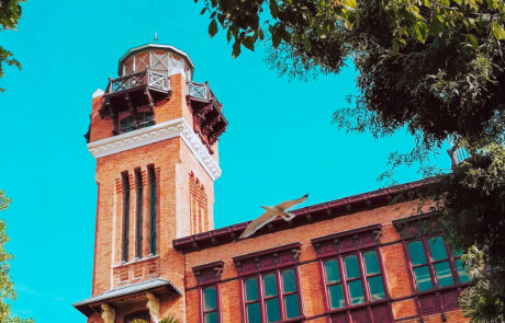 villamekanik mizzi kosku